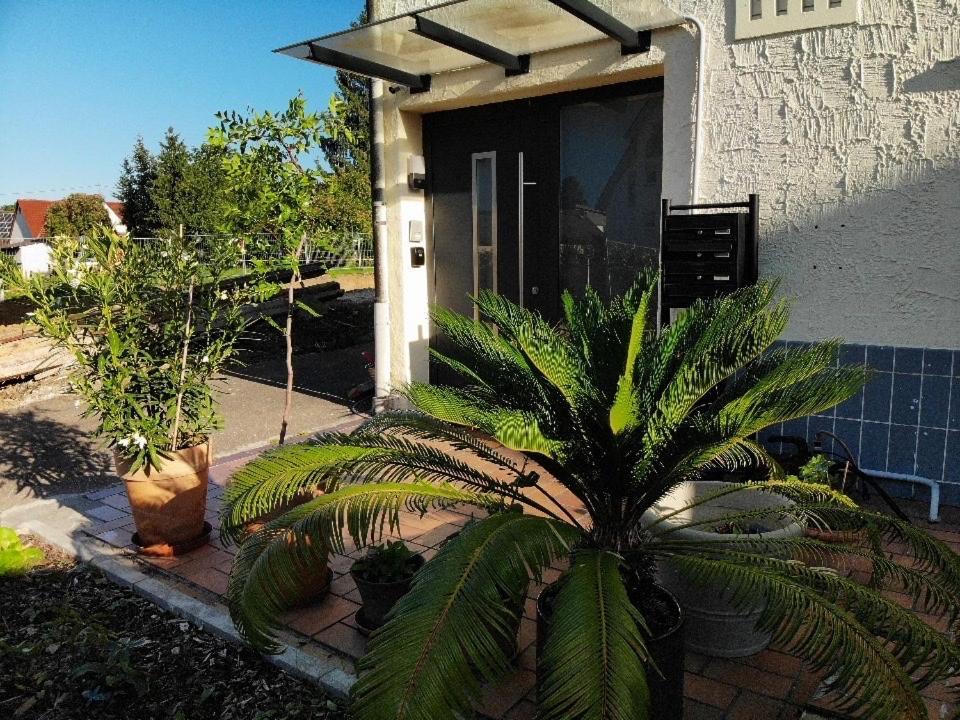 Gemuetliche 3 Zimmer Wohnung Mit Grosszuegiger Terrasse Im Gruenen Reutlingen Exteriér fotografie